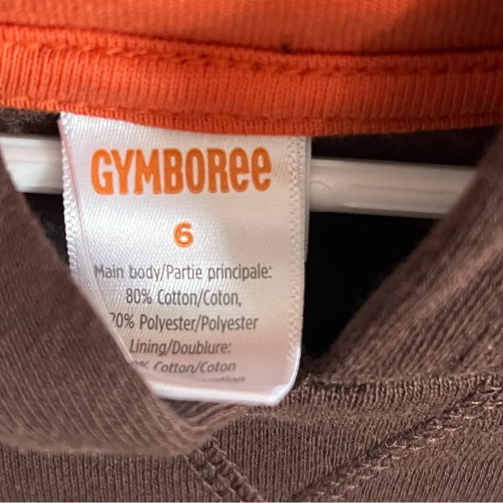 Gymboree Pumpkin Hoodie Sweatshirt